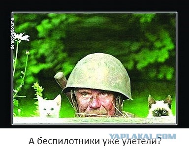 Беспилотники ВСУ массово атакуют Крым