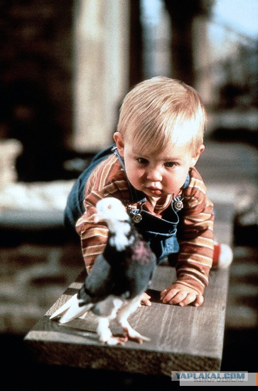 Няшность и ...