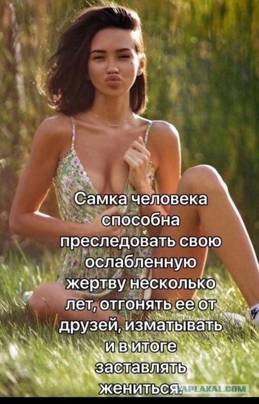 Почему холостая жизнь убивает мужчин