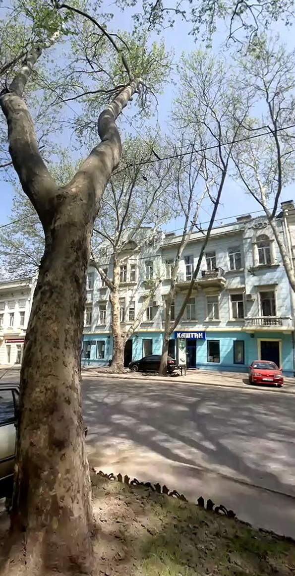 Одесса