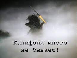 Бросишь пить, курить, ругаться - будем бракосочетаться! Или кто в СССР считался завидными женихами