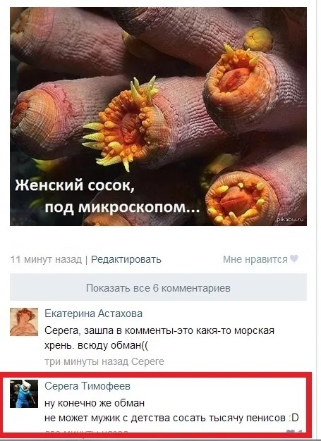 Морской х*й