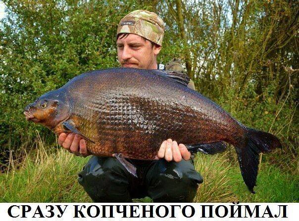 Когда сома ты всем покажешь,