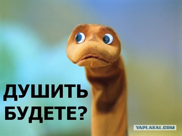 Петербуржец провёз своего питона в купе почти 2 тысячи километров