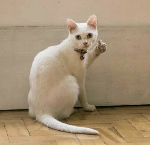 Отличное решение!