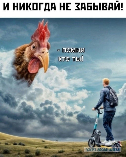 Бешеные самокатчики
