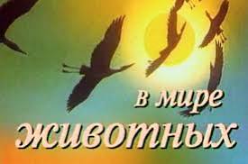 Мага из Саранска