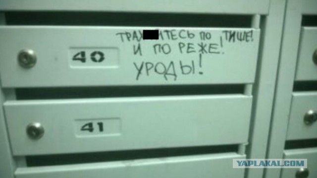 Так себе картинки 22.03.25