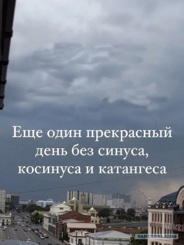 Так себе картинки 19.06.25