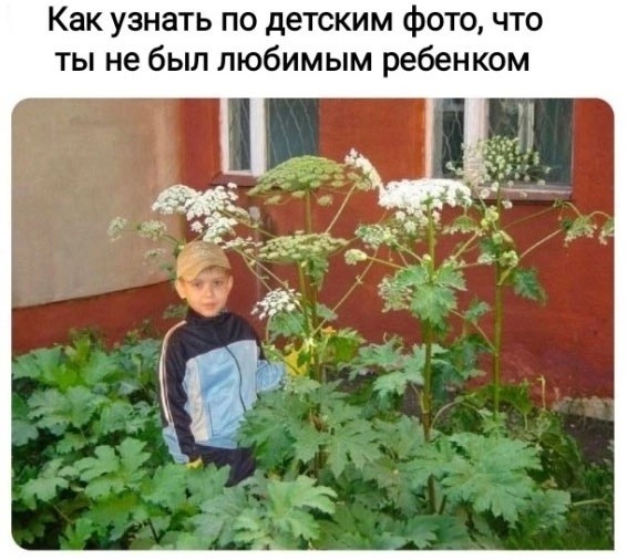 Так себе картинки 01.08.25