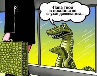 Вот так вот, приезжаешь в деревню к бабушке