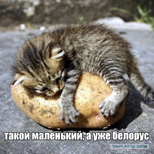 Рыбалка на реке Березина. Беларусь