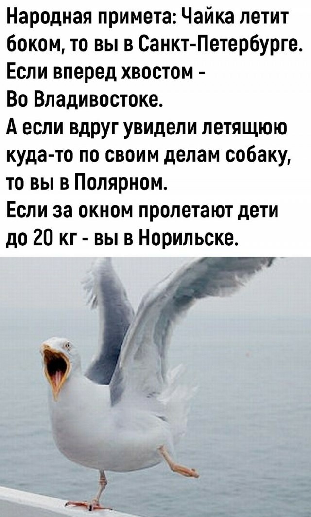 Так себе картинки 04.11.25