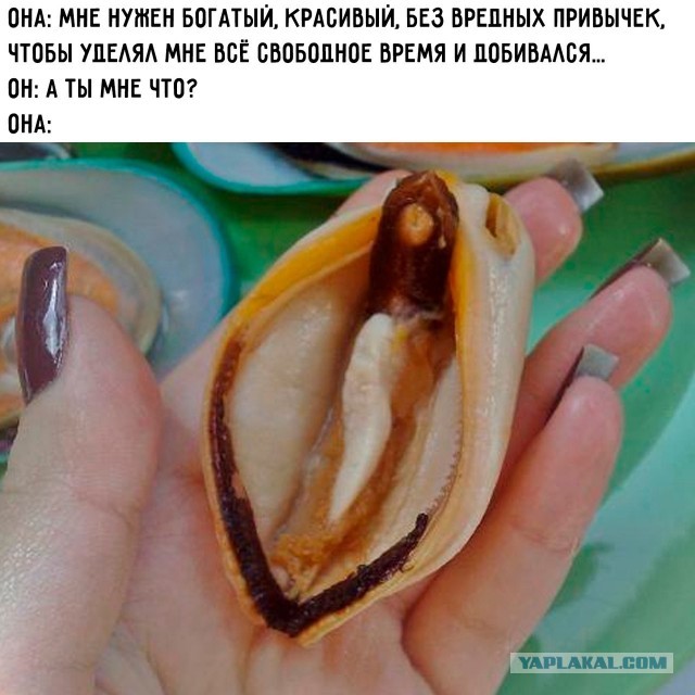 Картинки для деградации 79 (разной степени свежести)