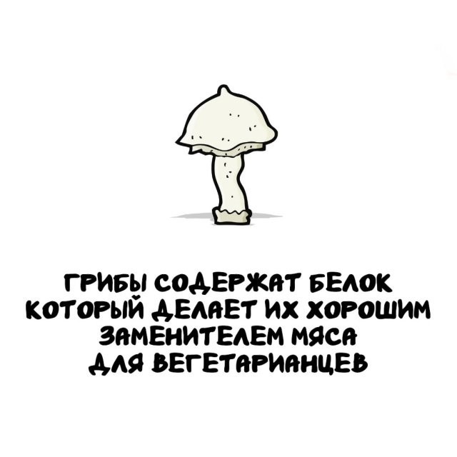 Подборка интересных фактов на все случаи жизни 26.11.25