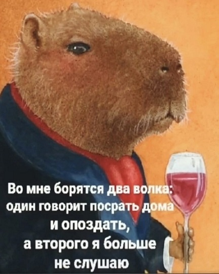 Носи с честью!