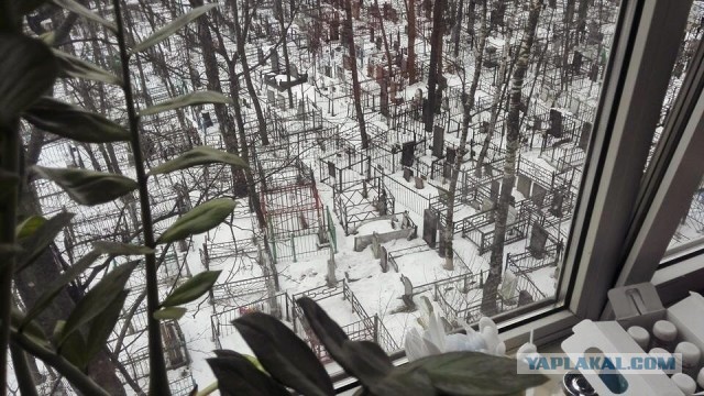 А давайте накидаем вид из своего окна
