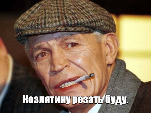 в Южной Корее собачье мясо после запрета могут заменить козлятиной