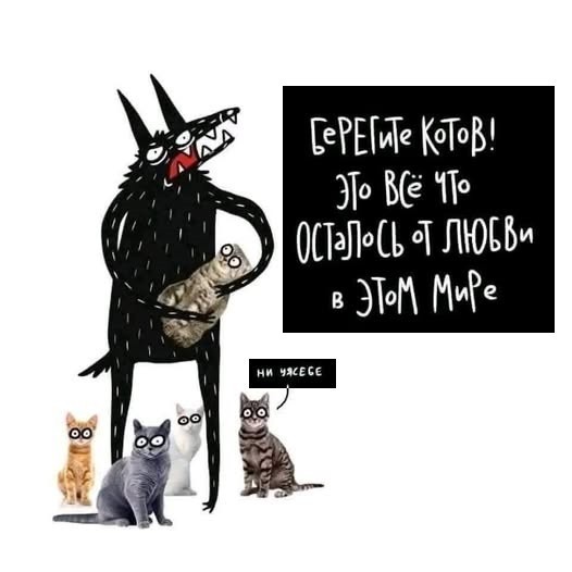 К котовторнику: подборка картинок-баянов с котиками и про котиков. Выпуск 42.