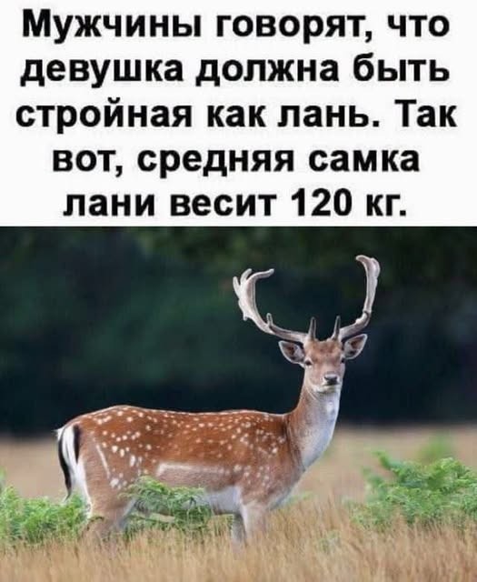 Изображения для сокращения лицевой мускулатуры