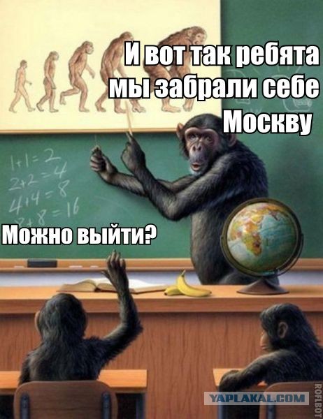 Четверо кавказцев...