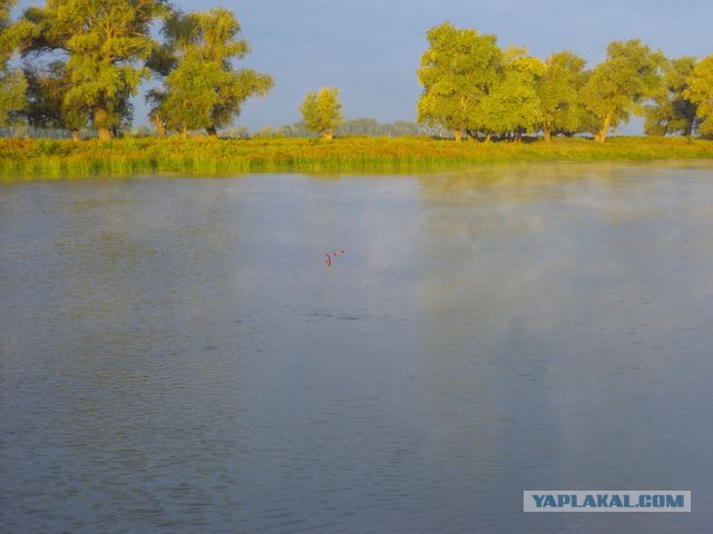 Рыбалка в Астрахани