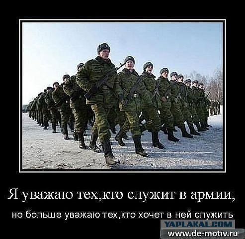 Армия, пол года спустя