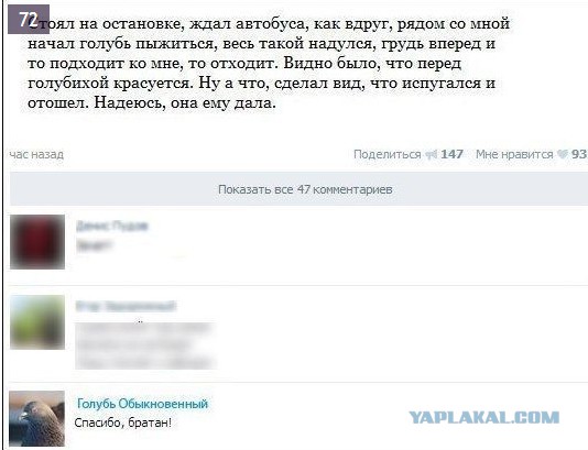 Комменты из соцсетей