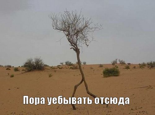 Яценюк подал в отставку.