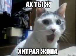 Когда вы плюсуeтe тему в платине