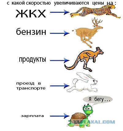 Небольшая подборка фото