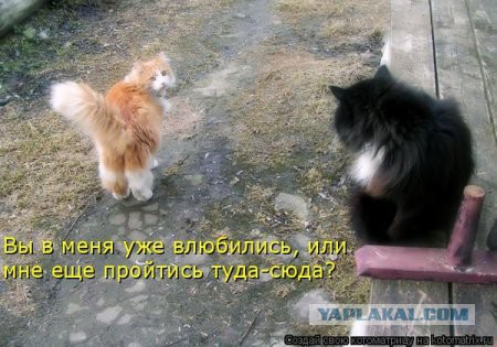 Поднимаем настроение