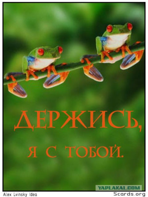 Чёрт, чёрт, чёрт!