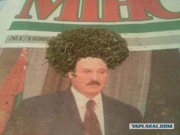 Всем зеленки!