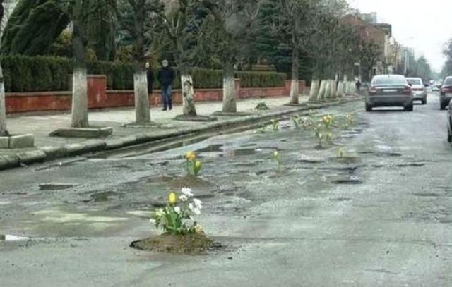 Весёлые картинки