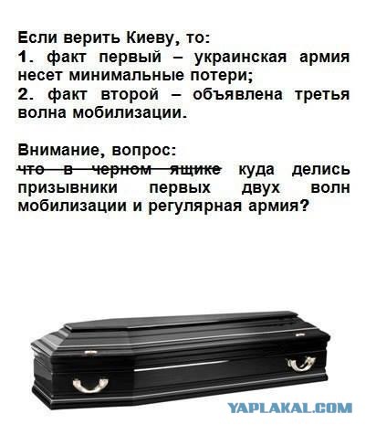 Чечня 20 лет назад. Доблесть, предательство и горе