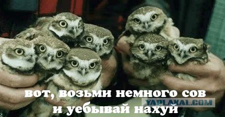 Знаки и символы управляют миром
