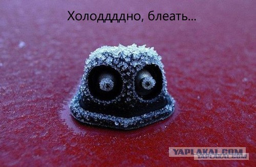 Как вас могут обмануть на заправке.