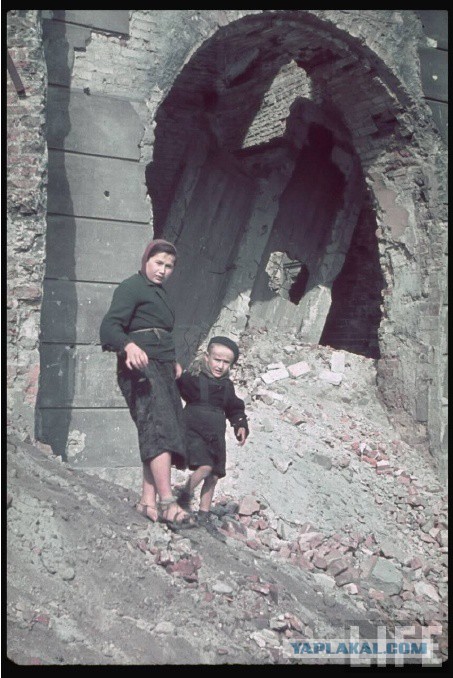 "Коричневая чума" в цвете.