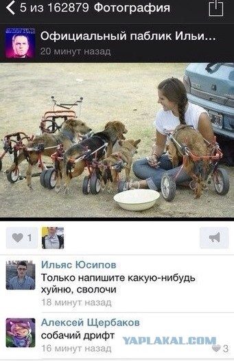 Минутка черного юмора на ЯПе