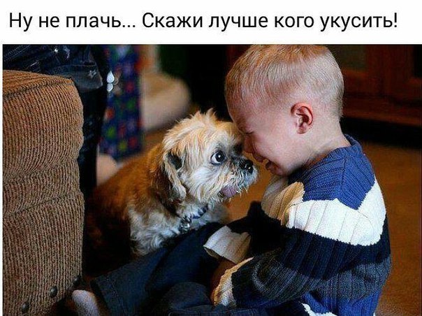 Картинки на пятницу