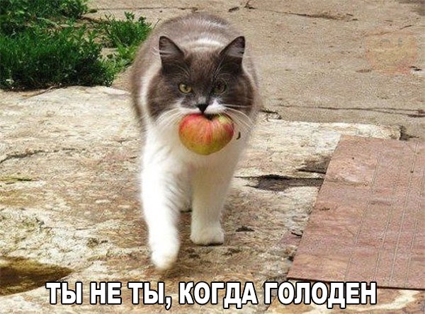 Картинки и демотиваторы
