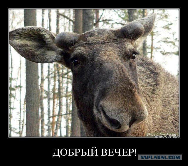 Пошел на работу...