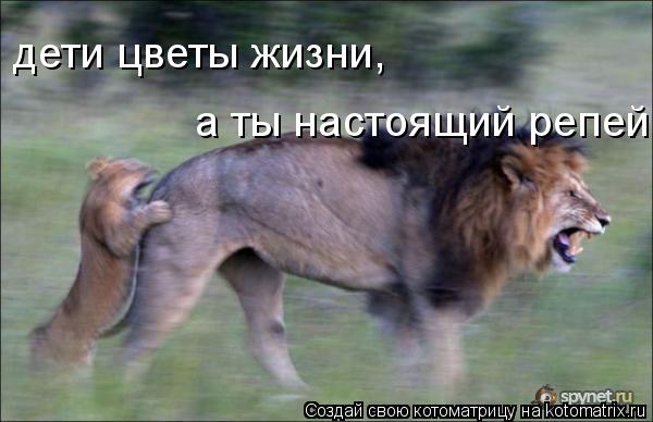 Поцелуй Иуды