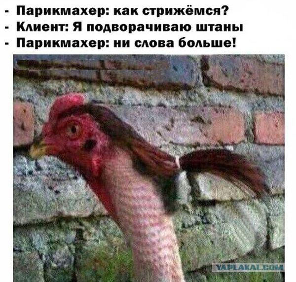 Картинки из ваших интернетов, 18+