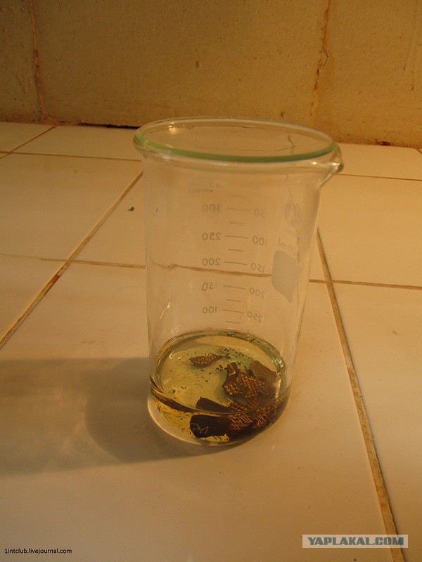 Как определяют содержание золота в радиодеталях