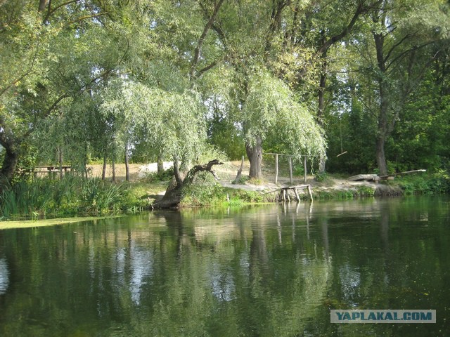 Сплав по реке Оскол