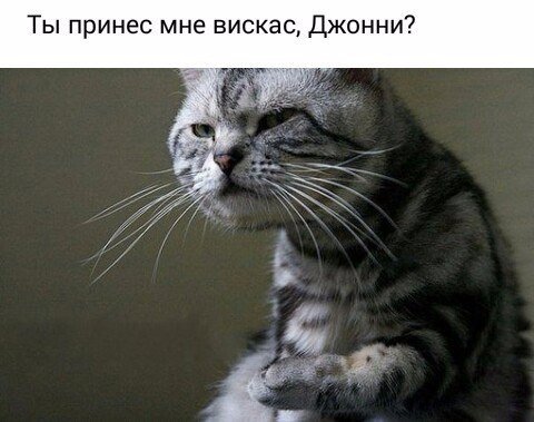 Мохнатые беспредельщики
