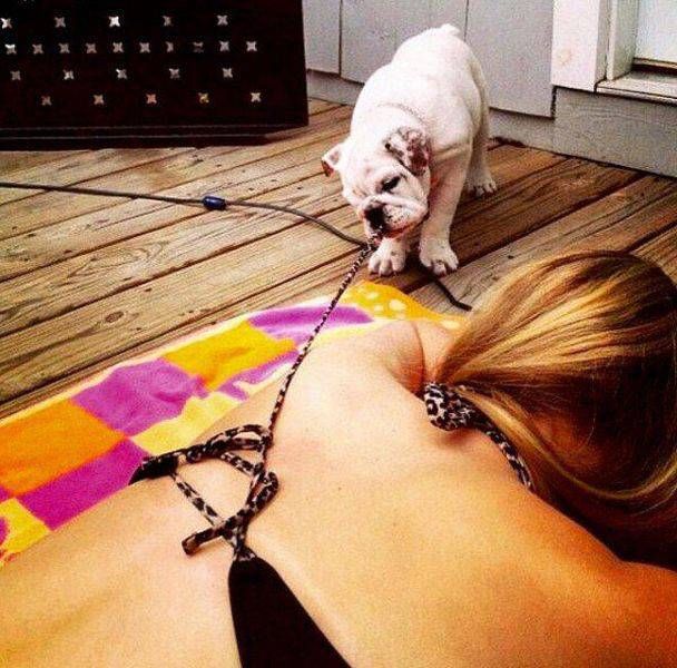 Интересные и веселые картинки