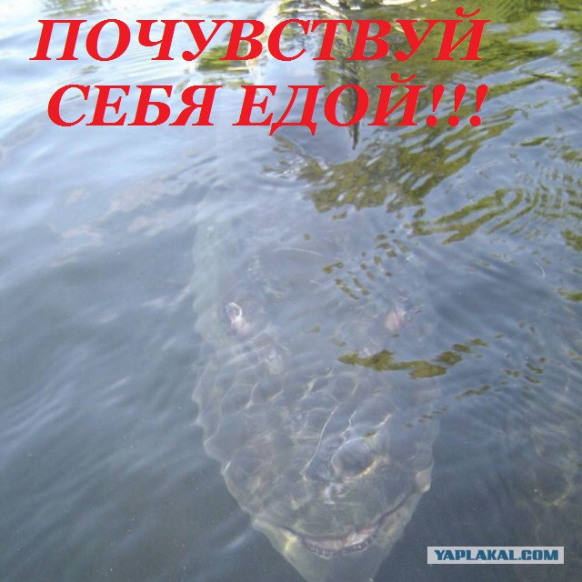 Подборка интересных и веселых фото